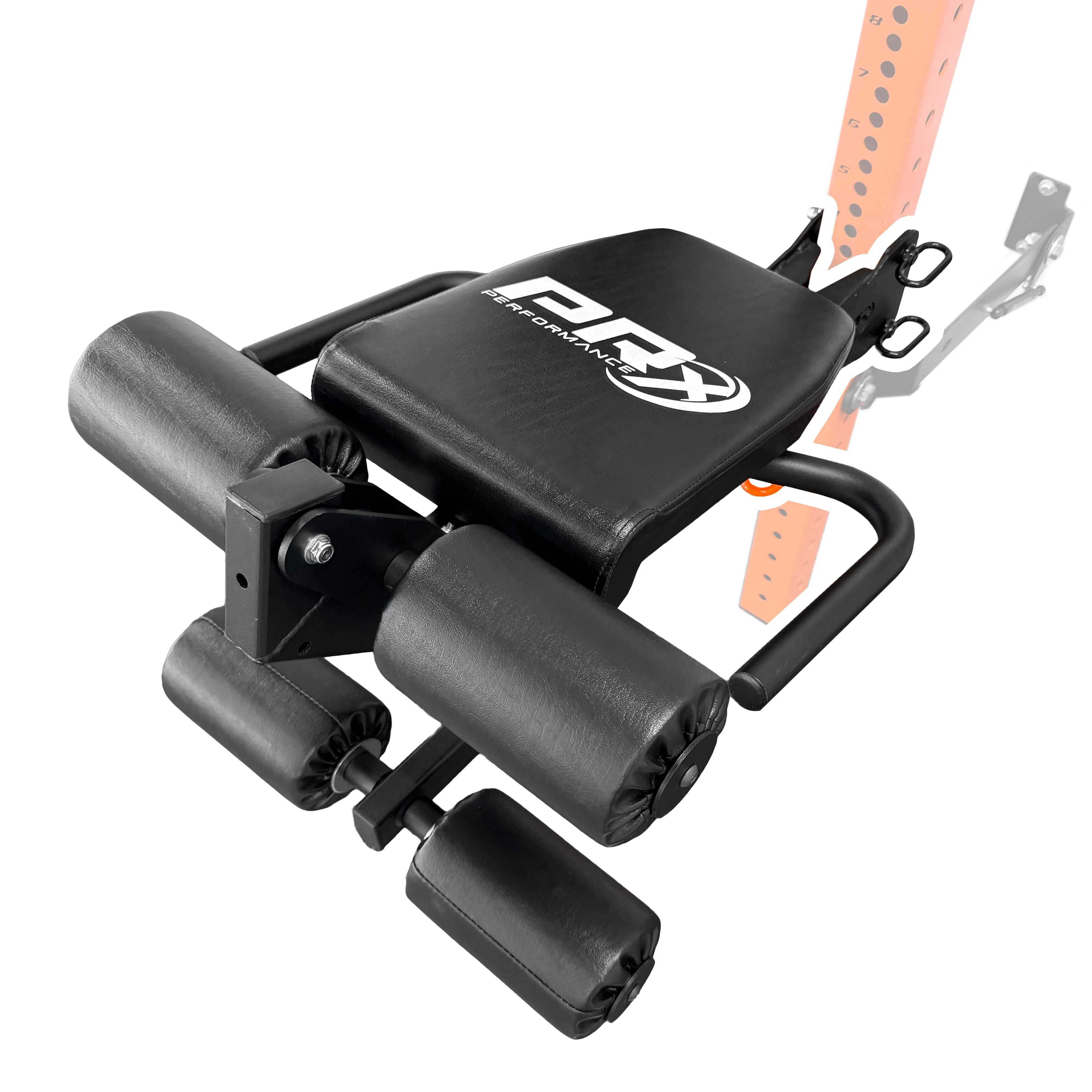 PRx Leg Curl/Extension - Image 7
