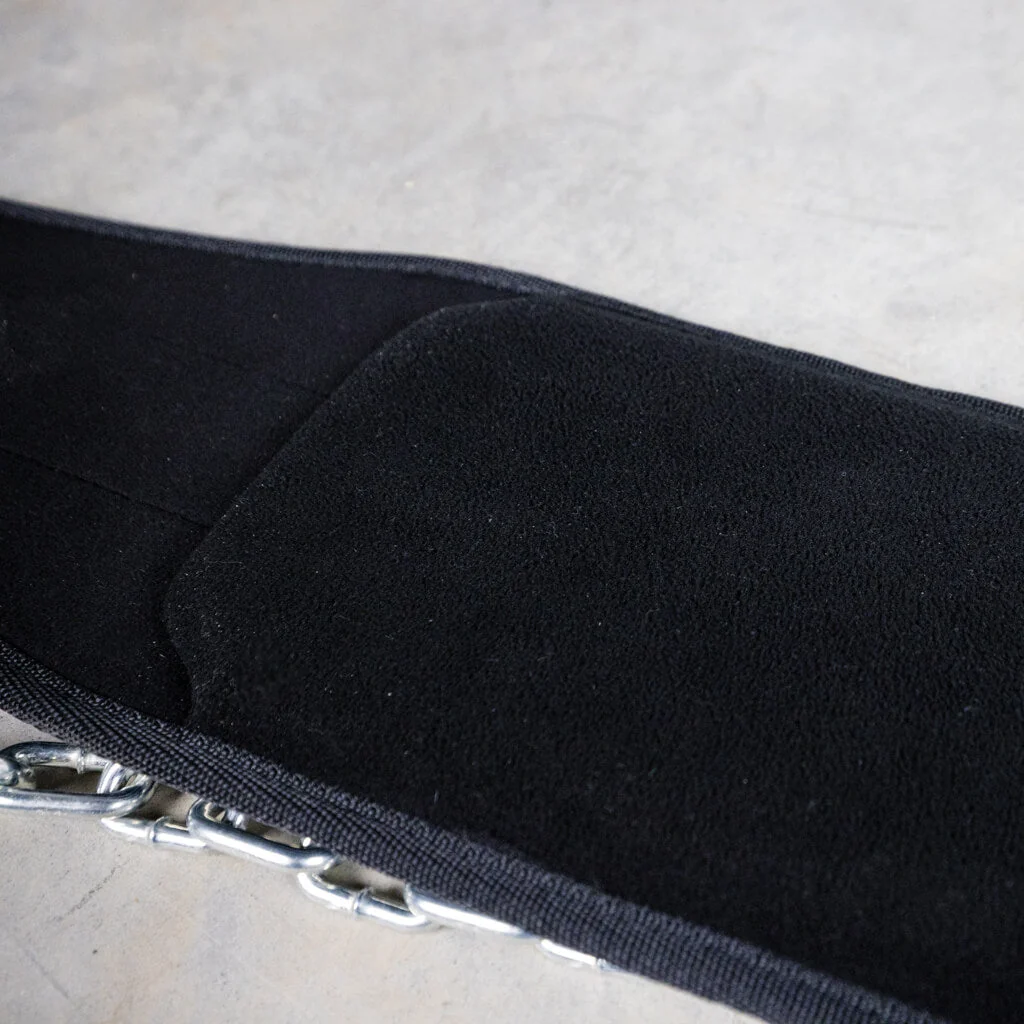 PRx Dip Belt - Image 7